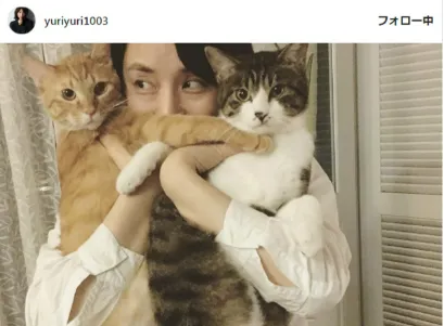 石田ゆり子さんの画像5